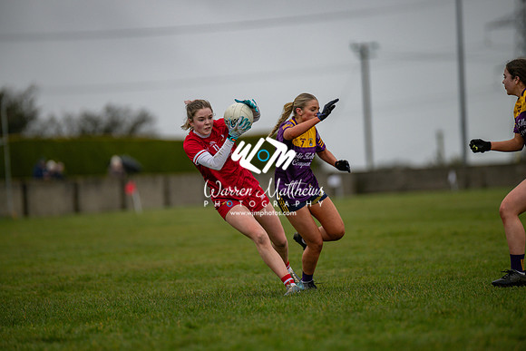 Louth v Wexford (Minor round 2) - 202503221426345200