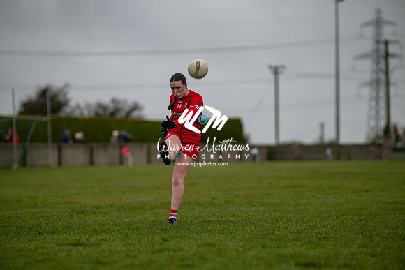 Louth v Wexford (Minor round 2) - 202503221427077700