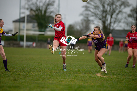 Louth v Wexford (Minor round 2) - 202503221432417700