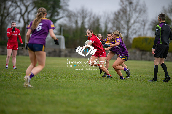 Louth v Wexford (Minor round 2) - 202503221403598300