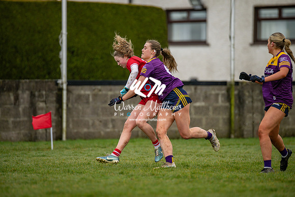 Louth v Wexford (Minor round 2) - 202503221423086900