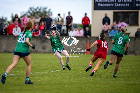 20240616 - Louth v Limerick (TG4 All Ireland JFC) - 202406161352468000
