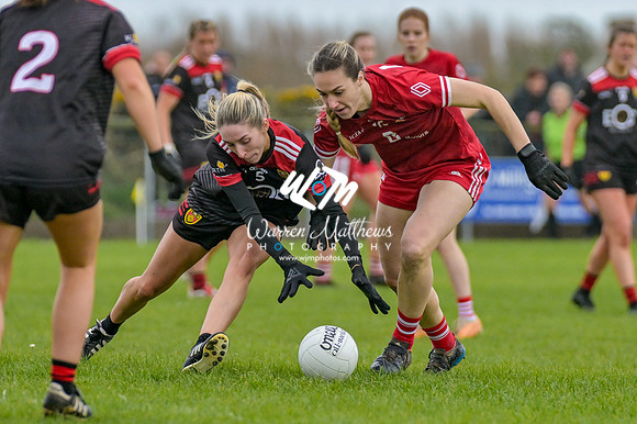 20240316 - Down v Louth (NFL Div 3 Round 6) - 202403171455087400