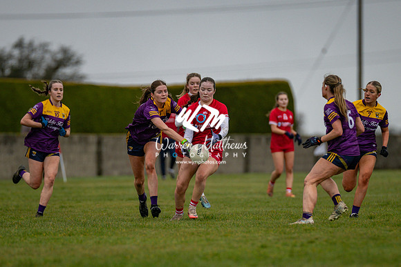 Louth v Wexford (Minor round 2) - 202503221431599400
