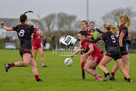 20240316 - Down v Louth (NFL Div 3 Round 6) - 202403171434550200