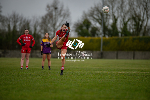 Louth v Wexford (Minor round 2) - 202503221411340100