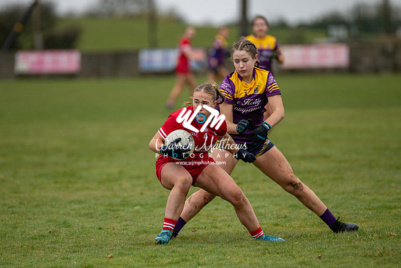 Louth v Wexford (Minor round 2) - 202503221455519300