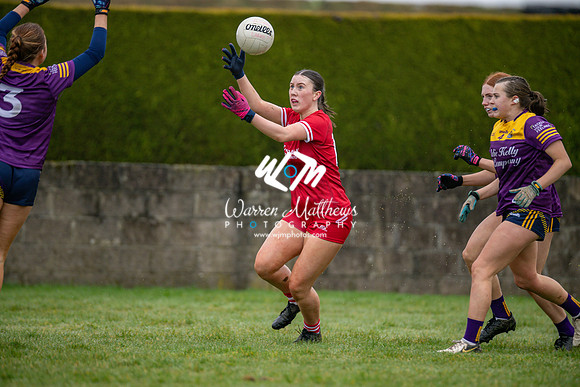Louth v Wexford (Minor round 2) - 202503221402263100