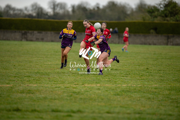 Louth v Wexford (Minor round 2) - 202503221509239400