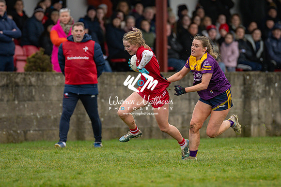 Louth v Wexford (Minor round 2) - 202503221423060900