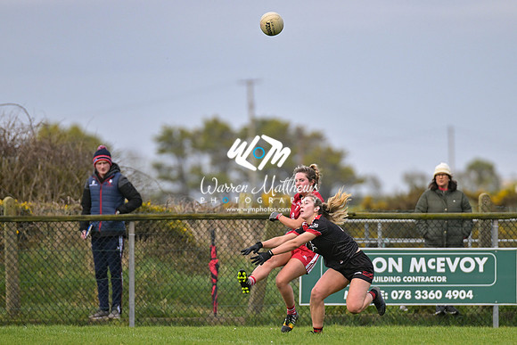 20240316 - Down v Louth (NFL Div 3 Round 6) - 202403171530491800
