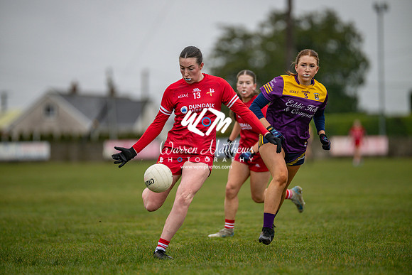 Louth v Wexford (Minor round 2) - 202503221407184800