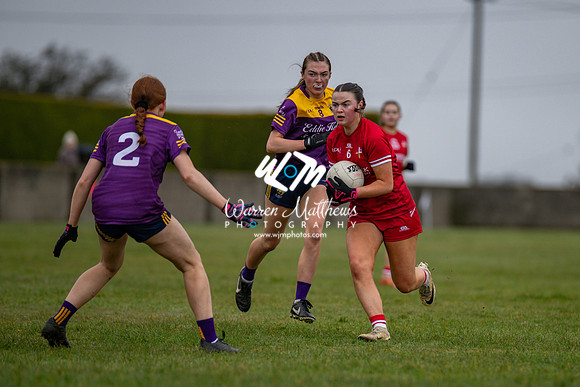 Louth v Wexford (Minor round 2) - 202503221404396400