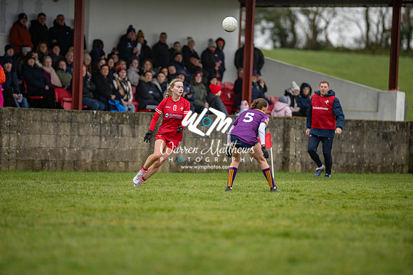 Louth v Wexford (Minor round 2) - 202503221421231700