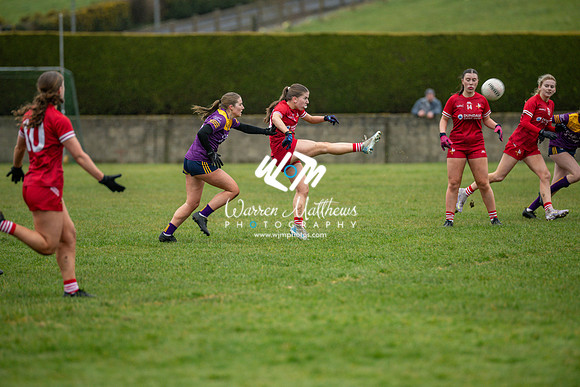 Louth v Wexford (Minor round 2) - 202503221506484700