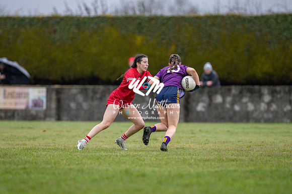 Louth v Wexford (Minor round 2) - 202503221402590100
