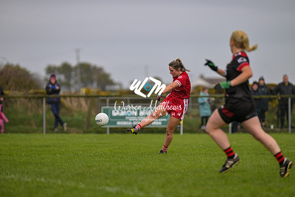 20240316 - Down v Louth (NFL Div 3 Round 6) - 202403171508171700