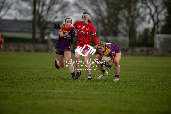 Louth v Wexford (Minor round 2) - 202503221415379400