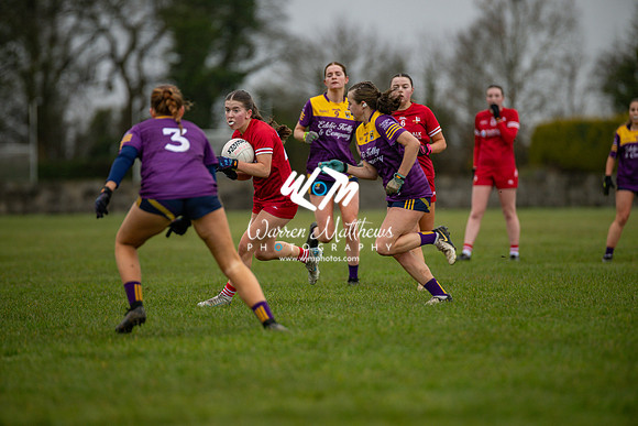 Louth v Wexford (Minor round 2) - 202503221411076000