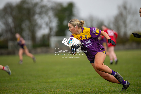 Louth v Wexford (Minor round 2) - 202503221426151500