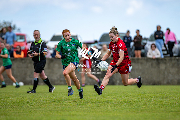 20240616 - Louth v Limerick (TG4 All Ireland JFC) - 202406161419448800