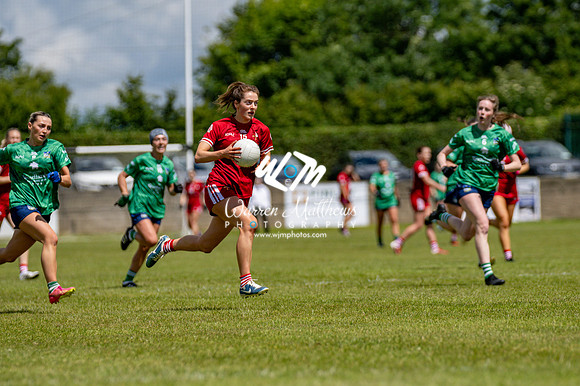 20240616 - Louth v Limerick (TG4 All Ireland JFC) - 202406161313518100