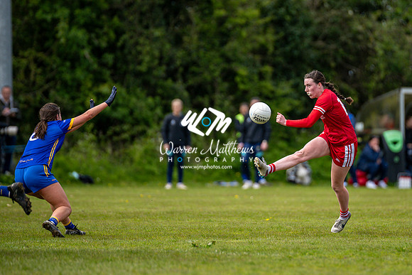 20240427 - Wicklow v Louth (Leinster LGFA Minor C Championship) - 202404271417349500
