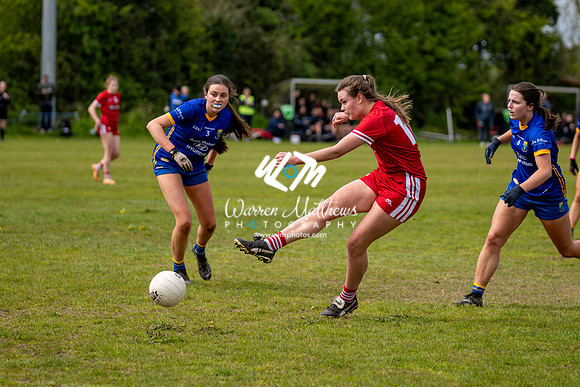 20240427 - Wicklow v Louth (Leinster LGFA Minor C Championship) - 202404271422510000