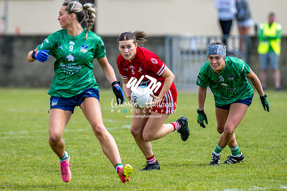 20240616 - Louth v Limerick (TG4 All Ireland JFC) - 202406161304372800