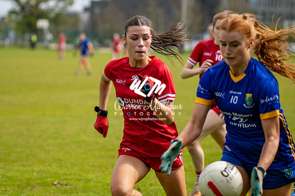20240427 - Wicklow v Louth (Leinster LGFA Minor C Championship) - 202404271426016800