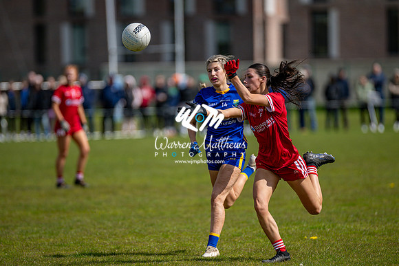 20240427 - Wicklow v Louth (Leinster LGFA Minor C Championship) - 202404271449564400