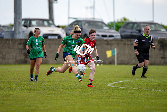 20240616 - Louth v Limerick (TG4 All Ireland JFC) - 202406161354084300