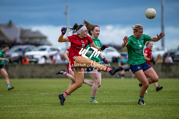20240616 - Louth v Limerick (TG4 All Ireland JFC) - 202406161321595400