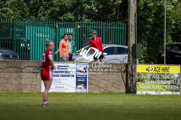 20240616 - Louth v Limerick (TG4 All Ireland JFC) - 202406161411596800