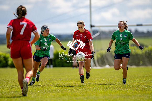 20240616 - Louth v Limerick (TG4 All Ireland JFC) - 202406161404549900