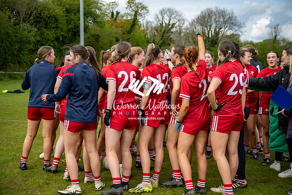 20240427 - Wicklow v Louth (Leinster LGFA Minor C Championship) - 202404271400330700