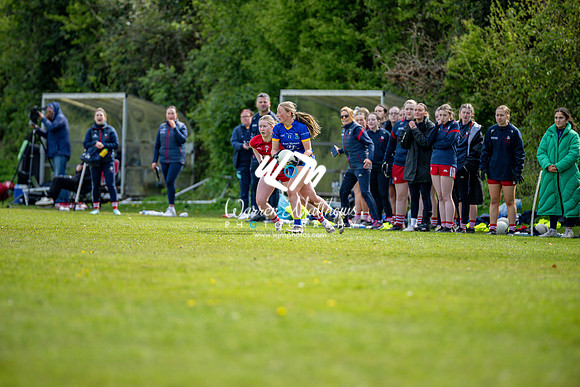 20240427 - Wicklow v Louth (Leinster LGFA Minor C Championship) - 202404271550258300