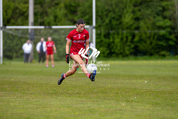 20240427 - Wicklow v Louth (Leinster LGFA Minor C Championship) - 202404271405324800