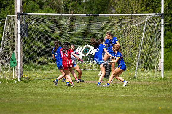 20240427 - Wicklow v Louth (Leinster LGFA Minor C Championship) - 202404271449117100