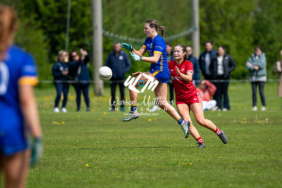 20240427 - Wicklow v Louth (Leinster LGFA Minor C Championship) - 202404271426314600