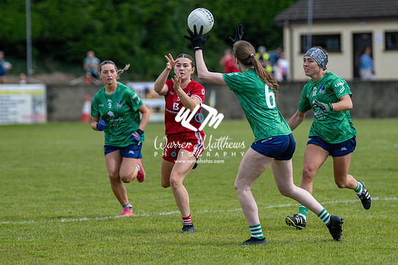 20240616 - Louth v Limerick (TG4 All Ireland JFC) - 202406161304407400