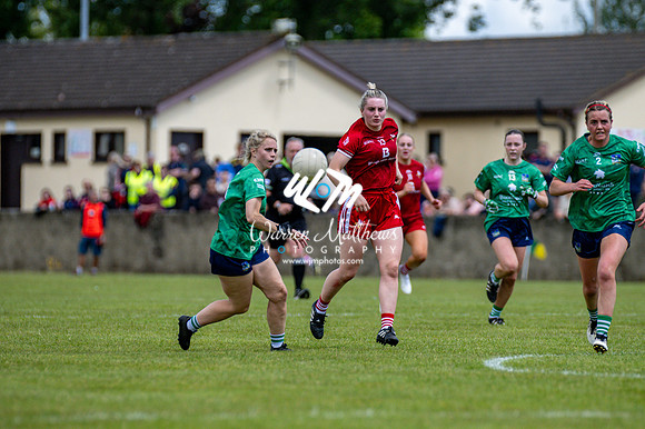 20240616 - Louth v Limerick (TG4 All Ireland JFC) - 202406161321562200