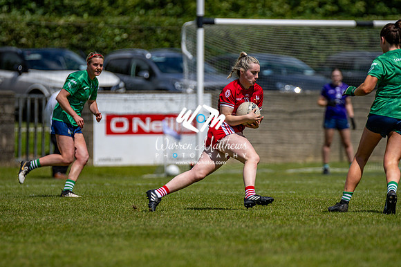 20240616 - Louth v Limerick (TG4 All Ireland JFC) - 202406161402569200
