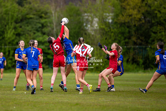 20240427 - Wicklow v Louth (Leinster LGFA Minor C Championship) - 202404271406517600