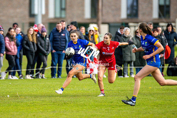 20240427 - Wicklow v Louth (Leinster LGFA Minor C Championship) - 202404271538385100