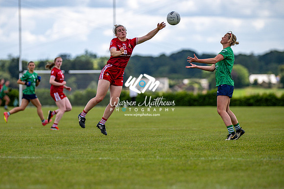 20240616 - Louth v Limerick (TG4 All Ireland JFC) - 202406161432306700