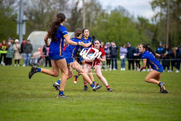 20240427 - Wicklow v Louth (Leinster LGFA Minor C Championship) - 202404271405384000