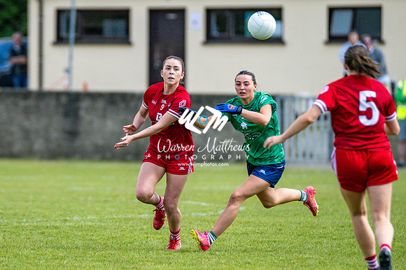 20240616 - Louth v Limerick (TG4 All Ireland JFC) - 202406161304354700