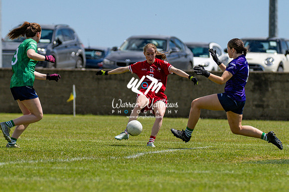 20240616 - Louth v Limerick (TG4 All Ireland JFC) - 202406161313599600