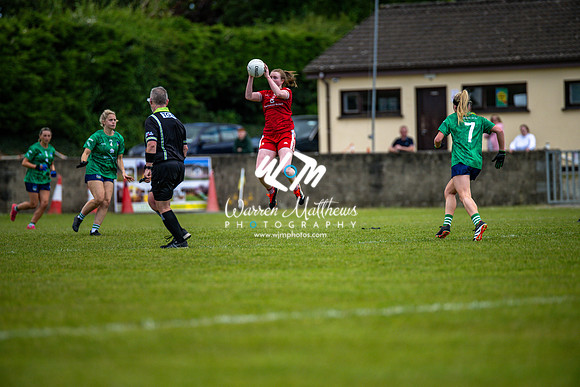 20240616 - Louth v Limerick (TG4 All Ireland JFC) - 202406161420020900